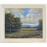 Harold White, 20th century, Oil on canvas board, An English country landscape. Signed lower left.