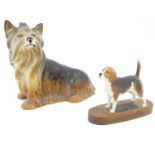 Two Beswick models of dogs comprising a large fireside Yorkshire Terrier, and a Beagle. Marked