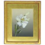 20th century, Oil on canvas board, A still life study of a lily in flower. Approx. 9 1/4" x 7"