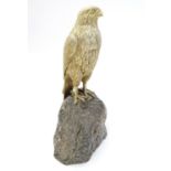A silver gilt model of a falcon bird mounted on a granite rock formed base Hallmarked London 1975