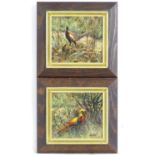 Ken Turner, 20th century, Oil on board, A pair, A Golden Pheasant, and a Pheasant. Signed lower.