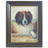 C. Ochsner and van Veegenhorst, 20th century, Oil on board. A portrait of a St Bernard dog. Signed