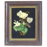 Early 20th century, English School, Oil on board, Cyclamen in flower. Approx. 9" x 7" Please