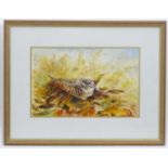 Winnie Renshaw, 20th century, Watercolour, A Woodcock bird on a nest of autumn leaves. Signed