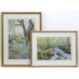 W. T. Pearce, 20th century, Watercolours, A rocky river in a woodland, and a Woodland scene with