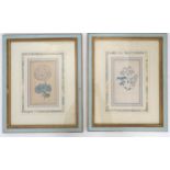 Two hand coloured botanical prints depicting wild flowers (2) Please Note - we do not make reference