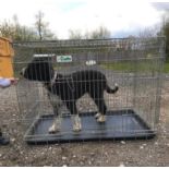 A Crufts 2 door dog crate / cage with tray measuring 42 x 27 1/2 x 31" approx. (107 x 70 x 79cm