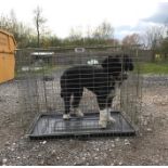 A Rosewood dog crate / cage measuring 35 3/4 x 25 1/4 x 27 1/2" approx. (91 x 64 x 70cm approx.) Dog