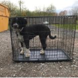 A Great and Small 2 door dog crate / cage with tray, measuring 35 1/2 x 23 1/4 x 25 1/2" approx. (90