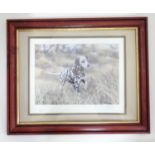 A signed limited edition print of a Dalmatian dog, indistinctly signed J. Doyle? Please Note - we do