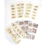 A collection of Ogden's and Will's dog cigarette cards Please Note - we do not make reference to the