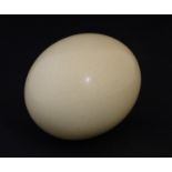 An ostrich egg. Approx. 6 1/4" high Please Note - we do not make reference to the condition of