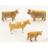 Four Beswick cows comprising Guernsey Cow, model no. 1248B, Highland Cow, no. 1740, Highland Bull,