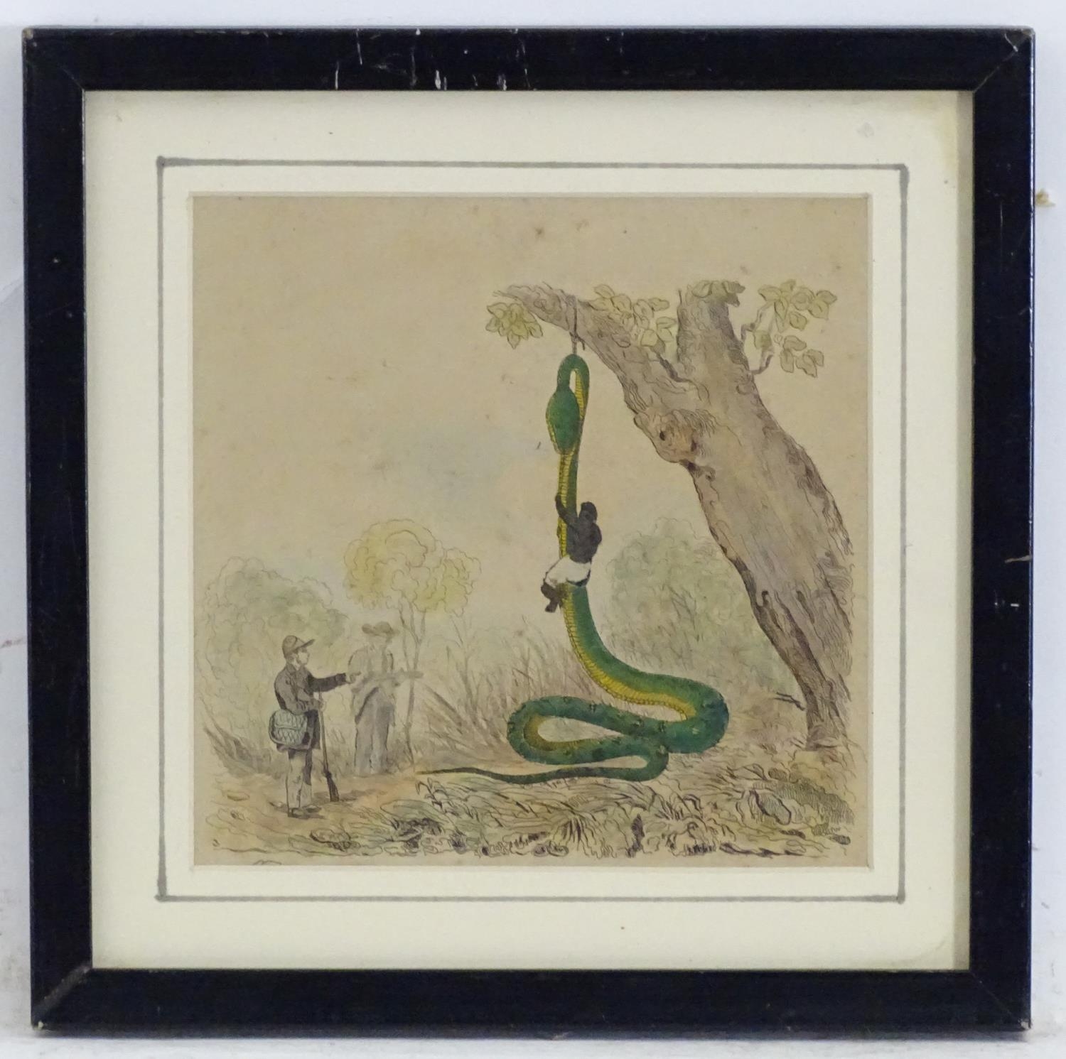 19th century, Topographical School, Hand coloured engraving, Hunters skinning a shot boa constrictor