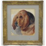 Alfred William Strutt (1854-1924), Oil on paper, A portrait of an American Bloodhound dog. Signed