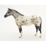 A Beswick horse, Appaloosa Stallion, model no. (H)1772. Marked under. Approx. 7 3/4" high Please