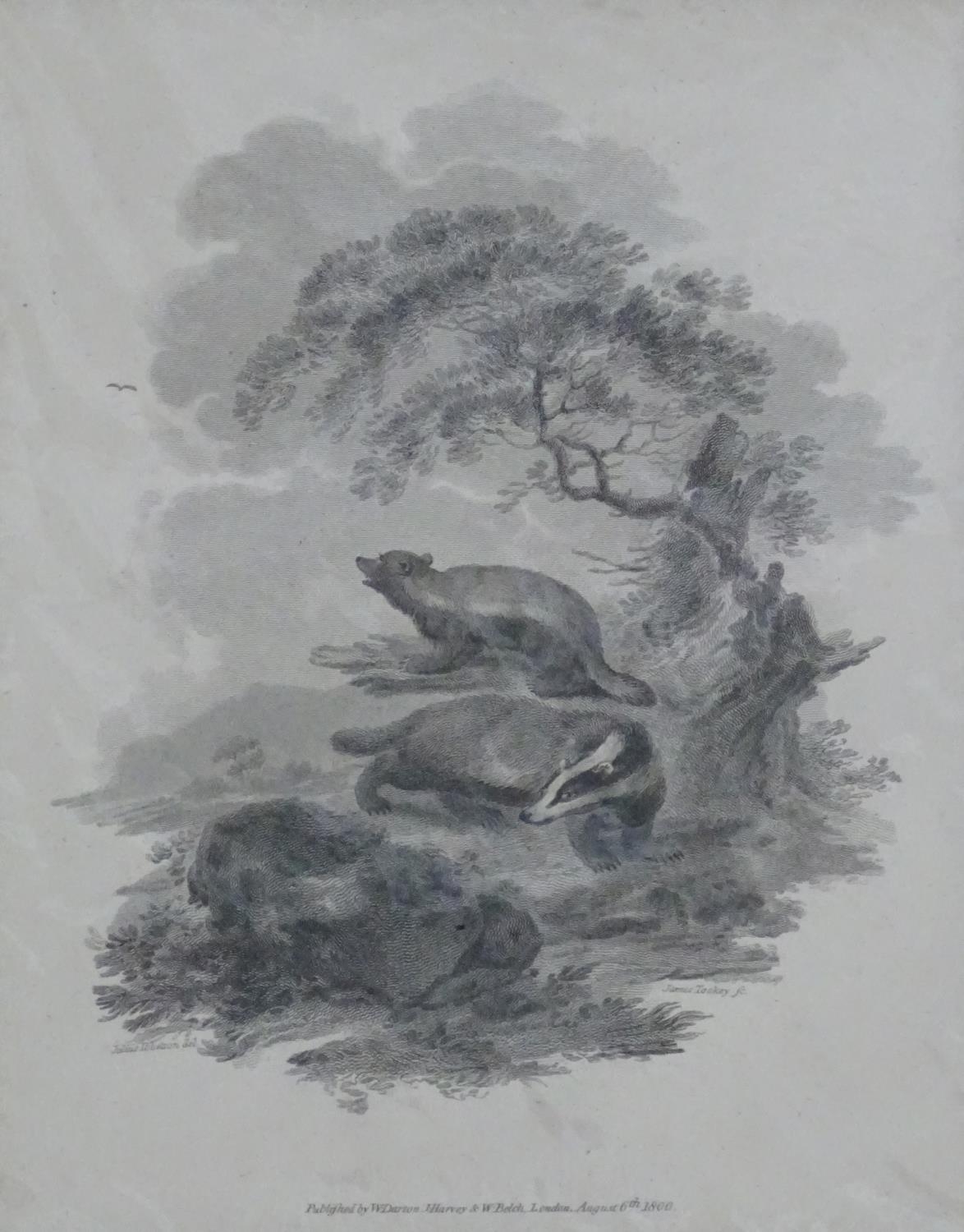 Five assorted animal engravings to include Le Blaireau (The Badger) engraved by Louis Le Grand after - Image 9 of 13