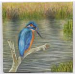 Evelyn Row, 20th century, Oil on canvas, Kingfisher, A portrait of a kingfisher bird perched on a