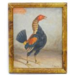 J. Box, 20th century, Oil on canvas laid on board, A portrait of a fighting cock. Signed lower