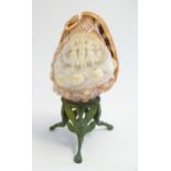 A 20thC table lamp shade and base formed from a conch shell with a cast base, the shell shade with