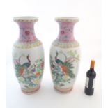 A pair of large Chinese vases decorated with peacock birds in a tree, with banded detail and flowers