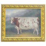 J Box, 20th century, Oil on canvas board, A prize bull in a landscape Signed lower left. Approx.