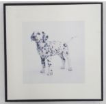 A photographic print depicting a Dalmatian puppy. Please Note - we do not make reference to the