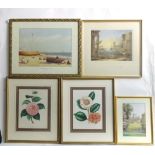 Five prints to include two botanical prints Camellia Japonica Fordu and Camellia Japonica