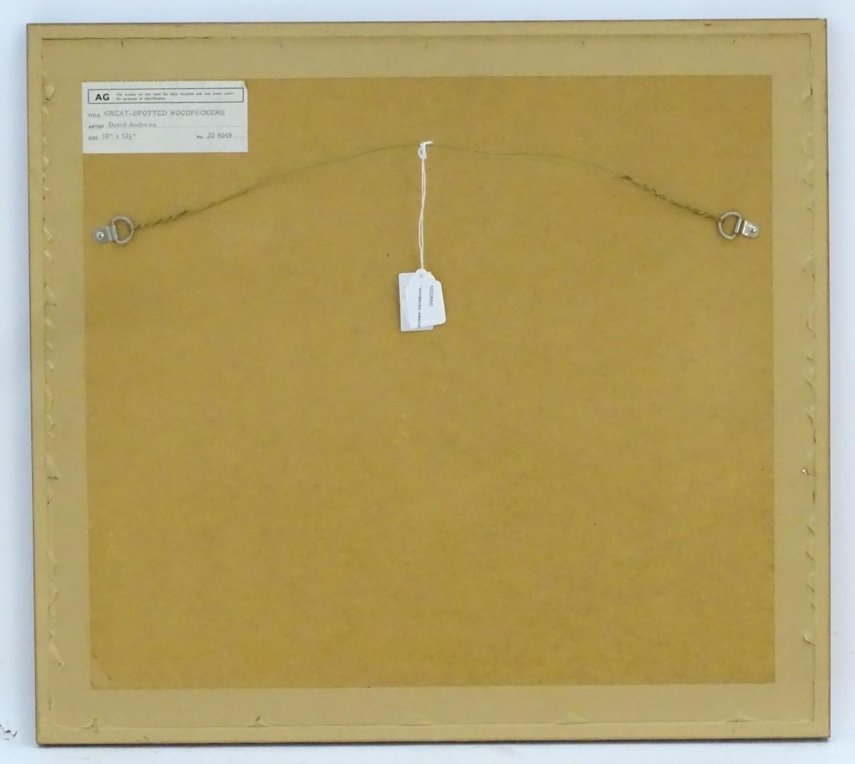 David Andrews, 20th century, Ornithological School, Watercolour, Great-Spotted Woodpeckers, Two - Image 4 of 4