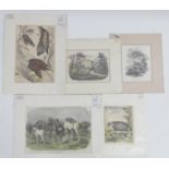Five assorted animal engravings to include Le Blaireau (The Badger) engraved by Louis Le Grand after