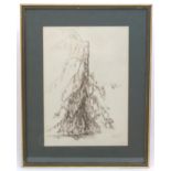 T. Makins, 20th century, Pen and ink, Weeping Willow, A study of a tree. Signed and dated (19)64