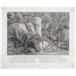 After Johann Elias Ridinger, 18th century, Engraving, Weasels and Pine Martens, Weasels looking