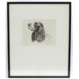 David Gee, 20th century, Etching, Cocker Spaniel, A portrait of a gun dog from the series Faithful