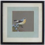 Indistinctly signed Martin Robaton ?, 20th century, Watercolour and gouache, A study of a nuthatch