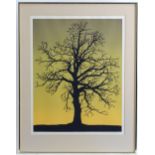 Veronica Charlesworth, 20th century, Limited edition print, no. 187/200, Winter Tree. Signed, titled