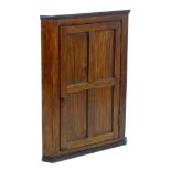 A late 18thC mahogany corner cupboard with a moulded cornice above a four panelled door and cast