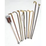 A collection of walking sticks, comprising an antler handled hazel thumbstick, a ramshorn handled