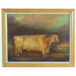 20th century, English School, Oil on canvas laid on board, A naive portrait of a prized bull in a