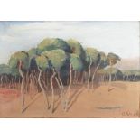 Omar ONSI (1901-1969) "La forêt de pins de Beyrouth"