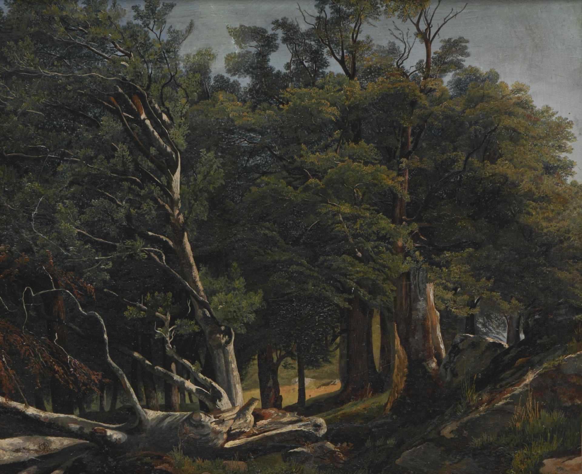 Alexandre CALAME (1810-1864), (attribué à),  "Arbres", huile sur carton...