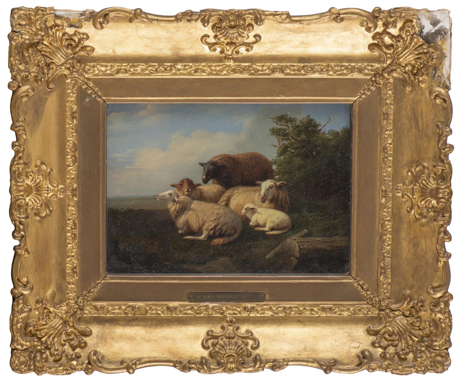 Eugène Rémy MAES (1849-1931), Attribué à,  "Troupeau de moutons au repos", Huile sur bois... - Image 2 of 6