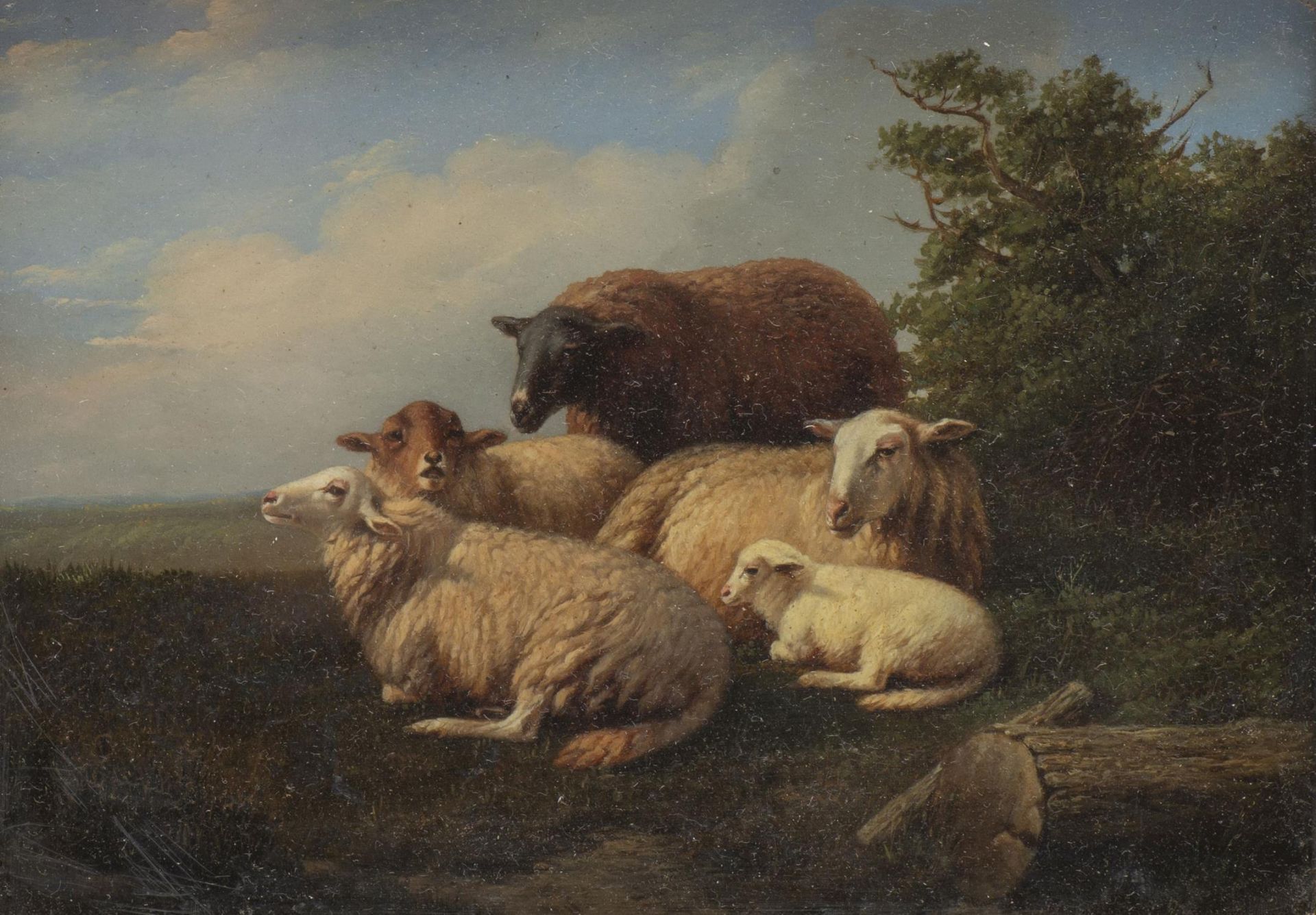 Eugène Rémy MAES (1849-1931), Attribué à,  "Troupeau de moutons au repos", Huile sur bois...