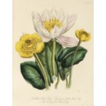 Loudon (Jane). British Wild Flowers, 1st edition, 1846