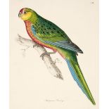 * Birds. Jardine (W. & Selby J. P.), A collection of 27 engravings, 1826 - 35