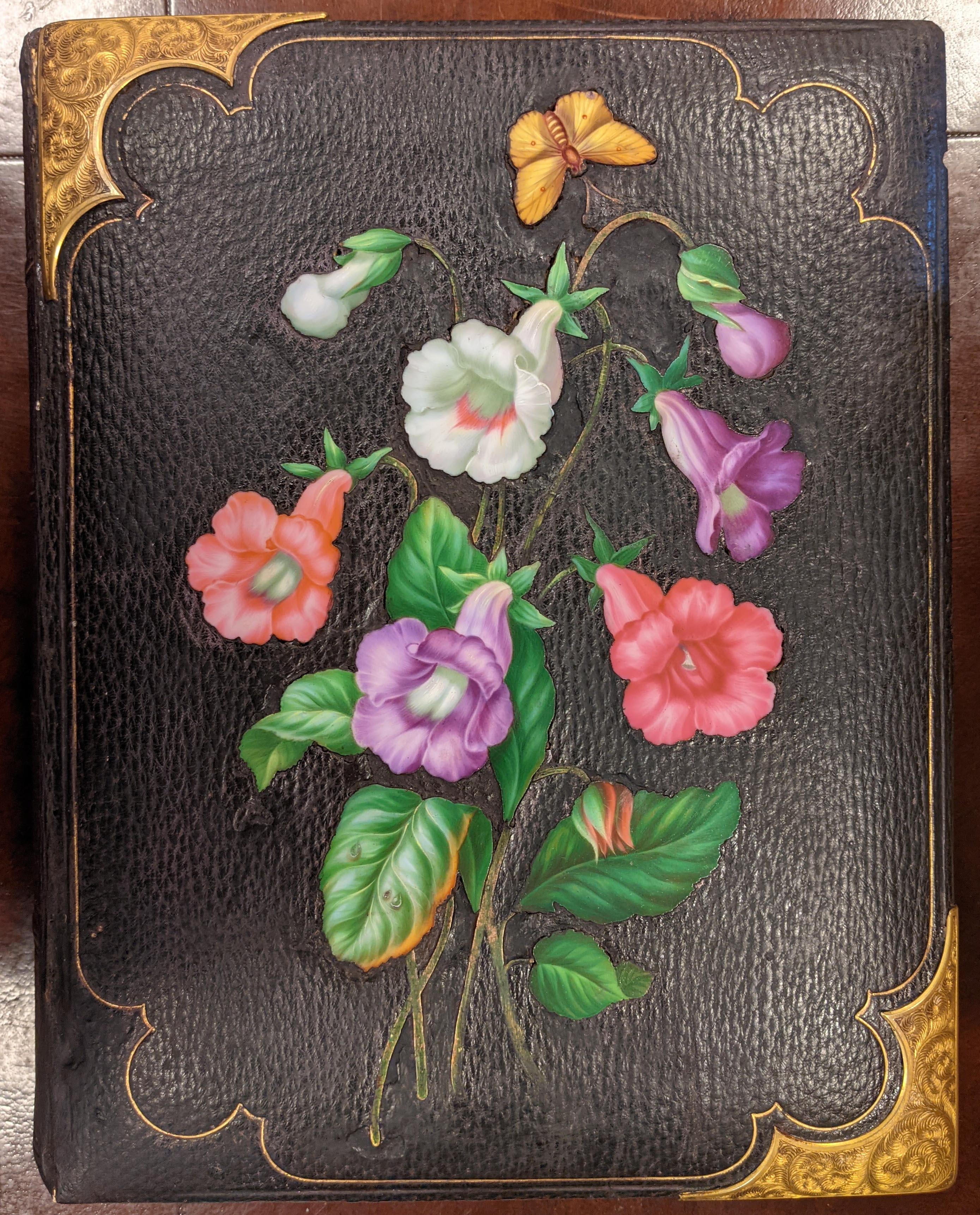 Europe. Photograph album, c.1870-80, decorative binding by August Klein of Vienna - Image 2 of 15