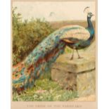 Nister (Ernest, publisher). Picture Gallery of Pets and Railway Train Book