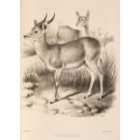 Selous (F. C.). A Hunter's Wanderings in Africa, 1st edition, 1881, & 4 others, travel