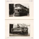 * Trams. A group of approximately 590 photographs
