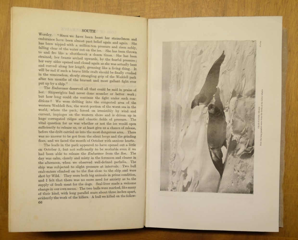 Shackleton (Ernest H.). South, 1st edition, 2nd impression, 1919 - Image 7 of 10