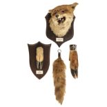 * Taxidermy. Fox head by Spicer & Sons, brush and other items